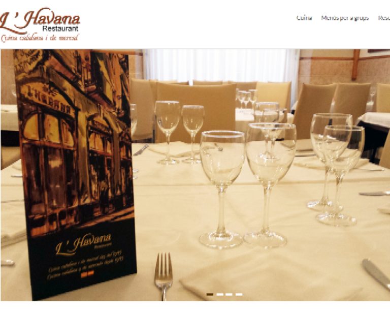 Portafolio Diseño Web 07